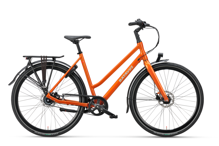 Batavus orange