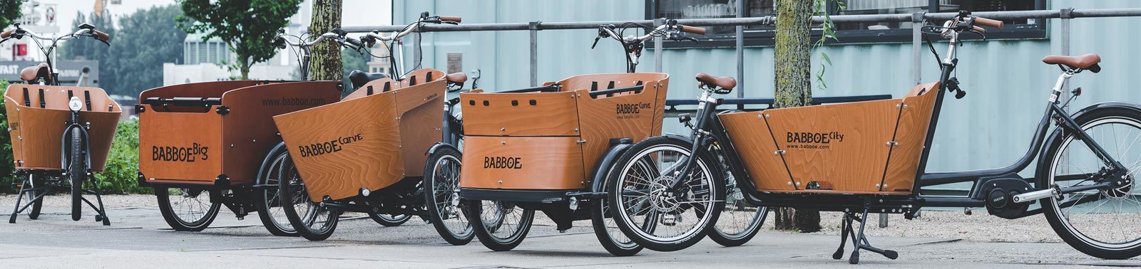 babboe wereld in de fietser